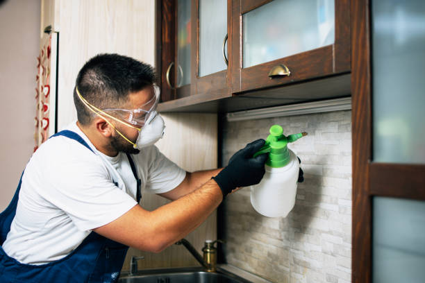 Best Pest Control Treatment  in Citrus Park, AZ